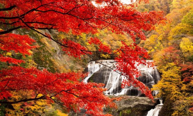 袋田の滝紅葉
