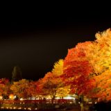 河口湖紅葉ライトアップ