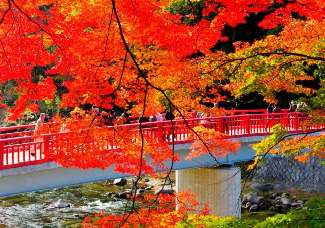 香嵐渓の紅葉の21見ごろはいつ 10月上旬現在の状況から予測 トレンディ伝伝 香嵐渓の紅葉の21見ごろはいつ 10月上旬現在の状況から予測 トレンディ伝伝