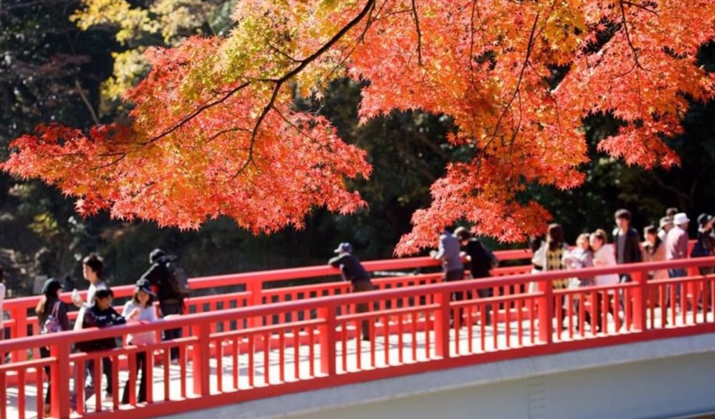 香嵐渓の紅葉のアクセスと渋滞を避ける方法紹介 駐車場の混雑予想も トレンディ伝伝