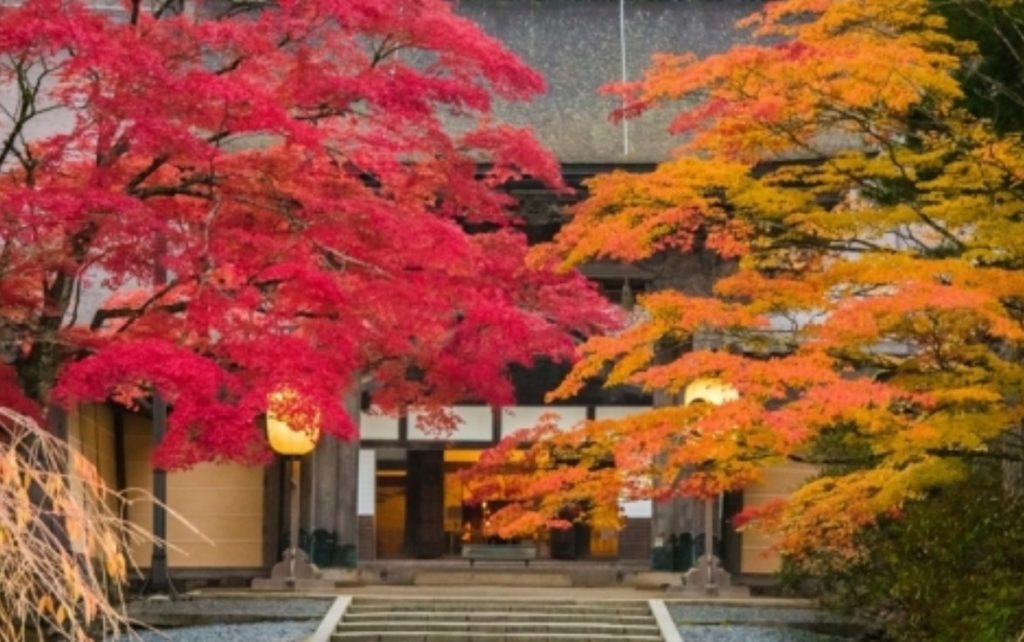 高野山の紅葉の見ごろはいつからいつまで 10月の状況から時期を予想 トレンディ伝伝