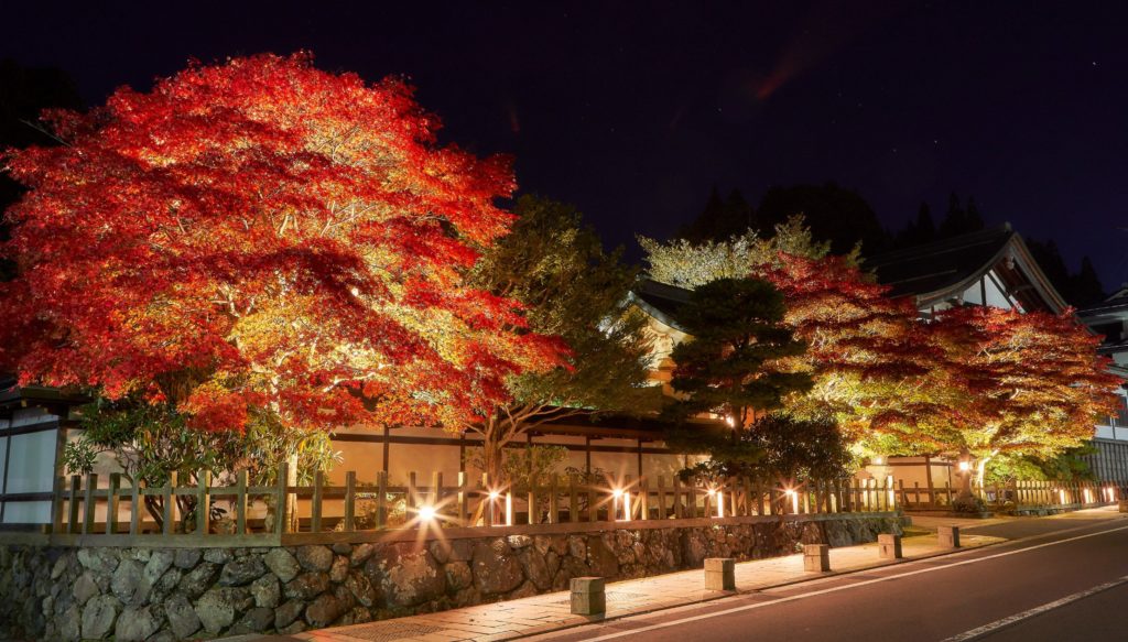 高野山紅葉のライトアップの時間と時期はいつからいつまで トレンディ伝伝