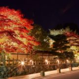 高野山ライトアップ