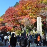 高尾山混雑