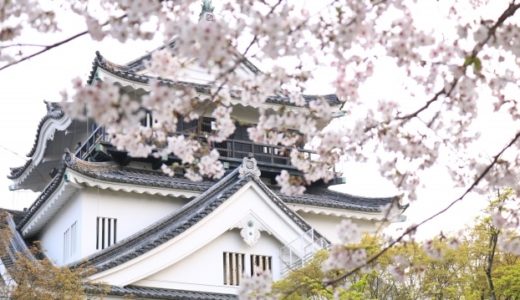岡崎公園の桜2020見頃はいつ？現在の開花状況から満開を予想！
