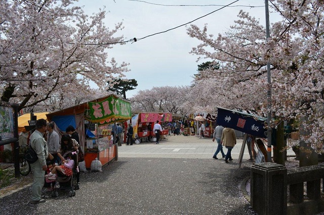 祭り 岡崎 桜 岡崎の桜まつりはこうやって楽しむ！最高の思い出にするための極秘ポイント｜イープラン（eee