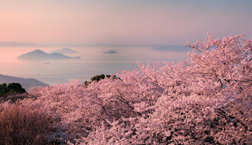 紫雲出山の桜2020見ごろの時期は？桜まつりや駐車場・アクセス方法も紹介！