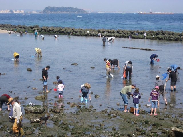 大阪の潮干狩りの時期はいつから 狙い目や適した日を紹介 トレンディ伝伝