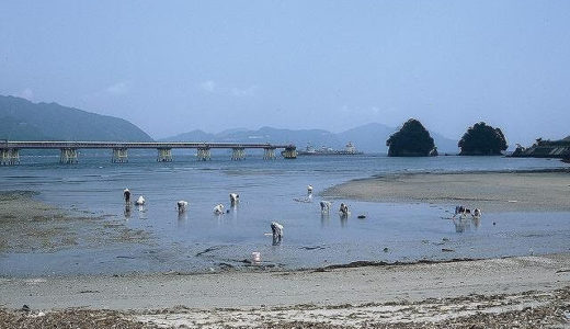 潮干狩り愛知県の2021無料スポットを紹介！三重県の穴場も！
