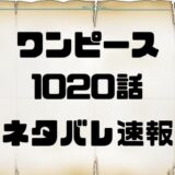 ワンピース連載24周年 サプライズ発表は 情報解禁をまとめてみた トレンディ伝伝