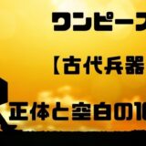 ワンピース古代兵器の正体とは 古代兵器と空白の100年を徹底考察 トレンディ伝伝